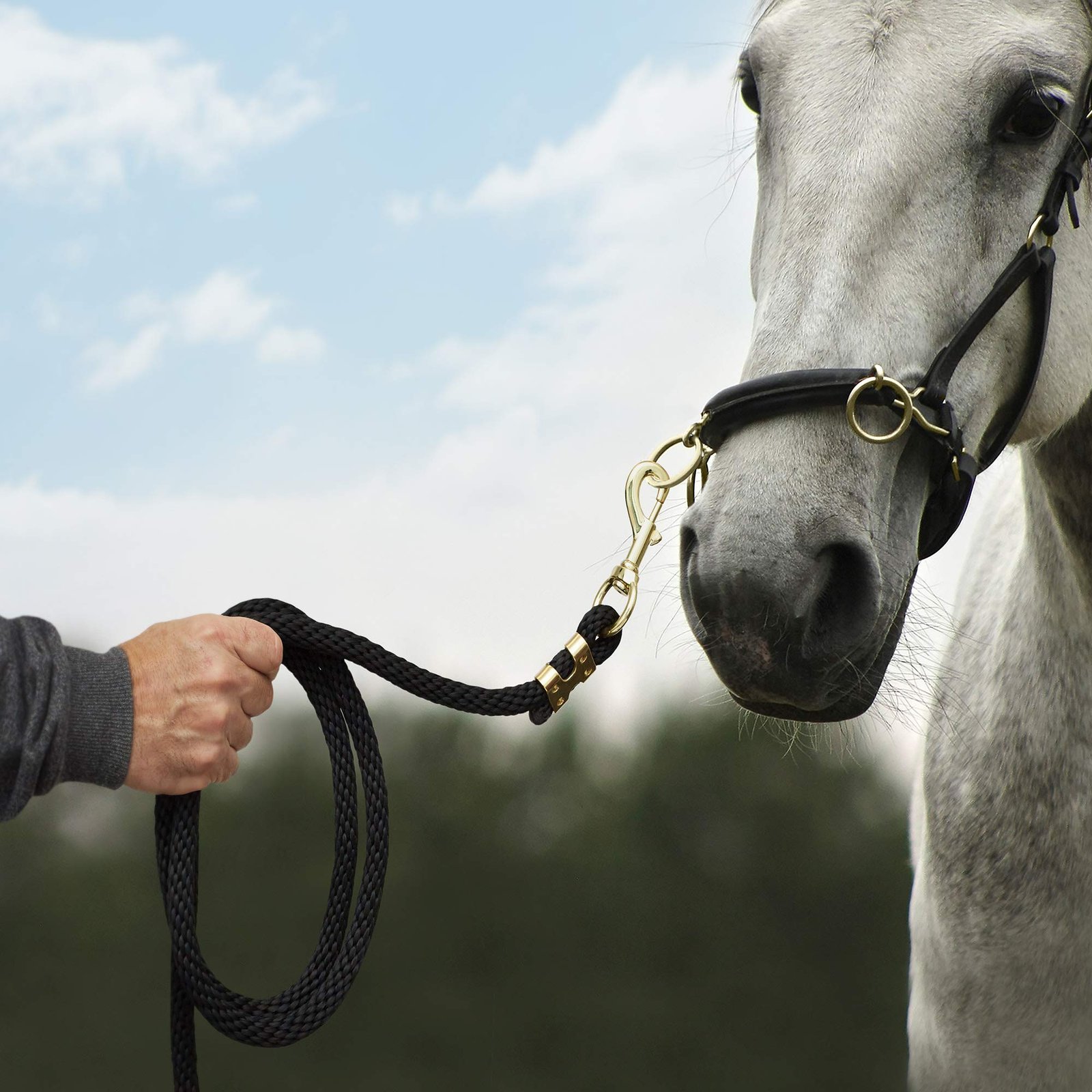 Is IBLIS Riding you – لَأَحْتَنِكَنَّ